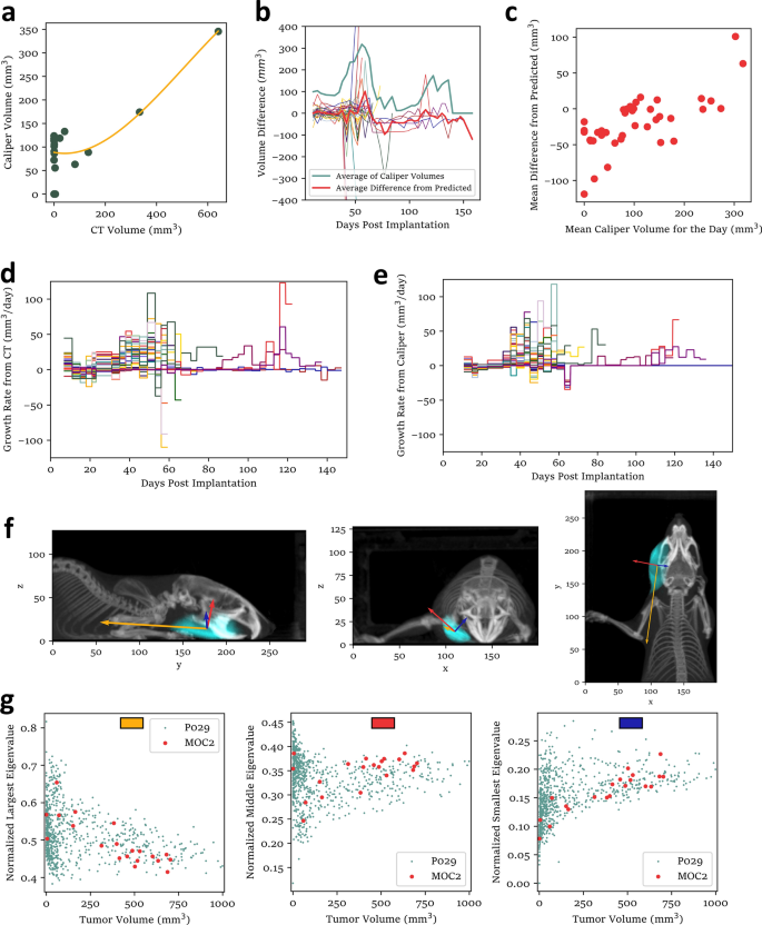 Measurement of mouse head and neck tumors by automated analysis of CBCT  images | Scientific Reports
