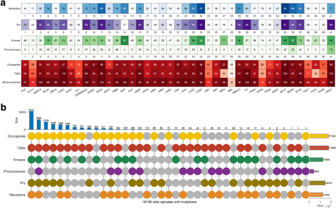 cancer mutations research paper figure 3