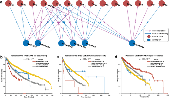 cancer mutations research paper figure 5