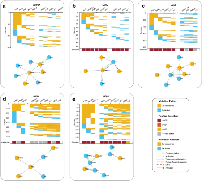 cancer mutations research paper figure 6