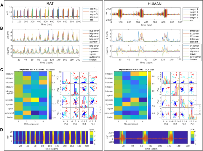 Computational modeling allows unsupervised classification of 