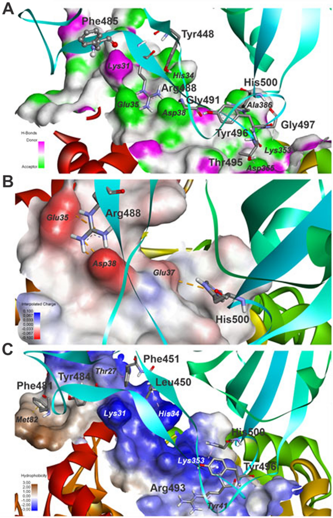 figure 11