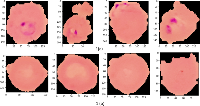 malaria msc thesis figure 1