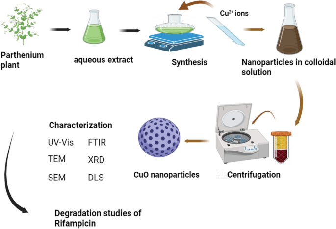 green synthesis of copper nanoparticles thesis figure 1