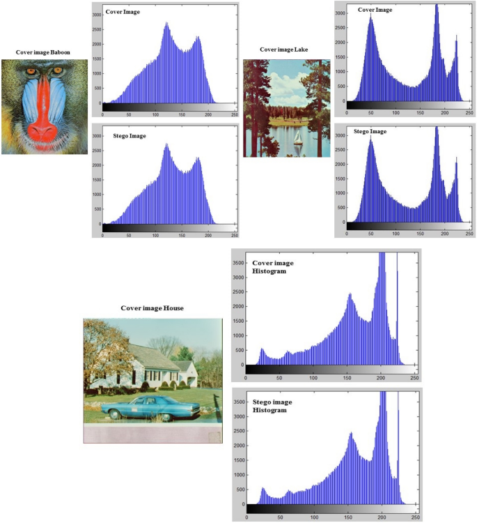 steganography research paper 2022 figure 14