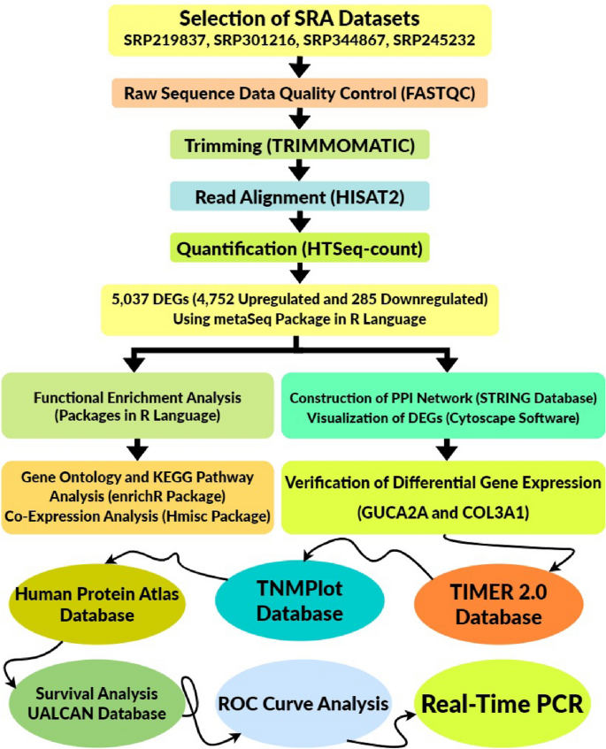 Identification of GUCA2A and COL3A1 as prognostic biomarkers in 