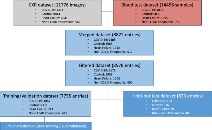 essay about covid 19 using modals figure 1