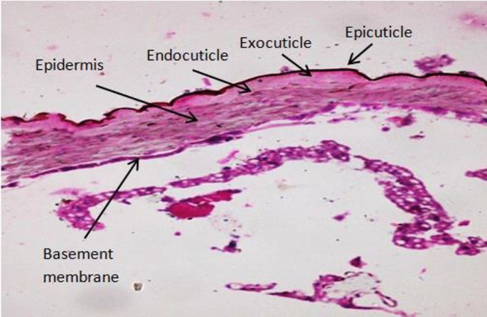 Rysunek 3