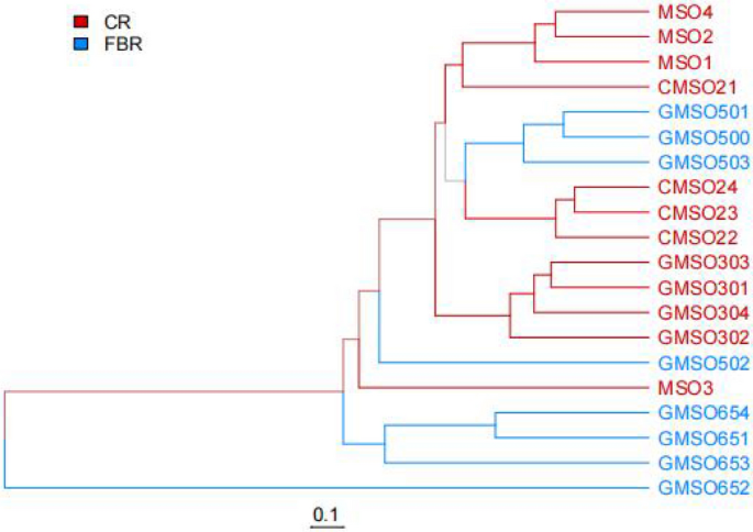 figure 14