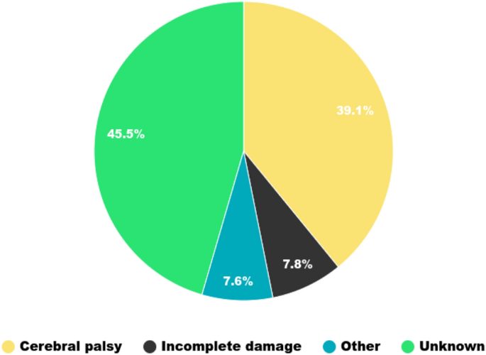 gait analysis case study figure 1