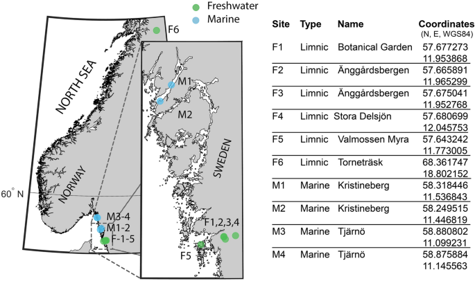 Mass spectroscopy reveals compositional differences in copepodamides from  limnic and marine copepods