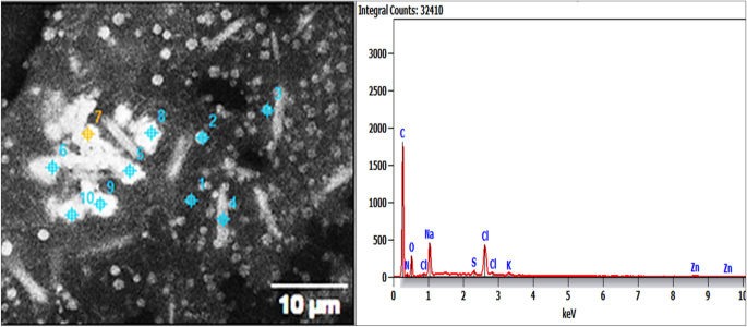 thesis of zinc oxide nanoparticles figure 3