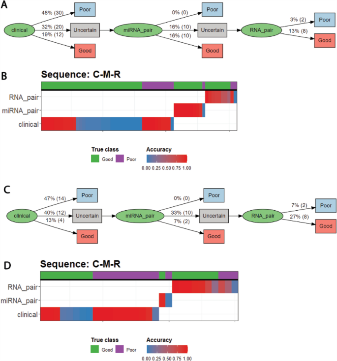 healthcare solution visualization showing patient flow optimization with color-coded pathways