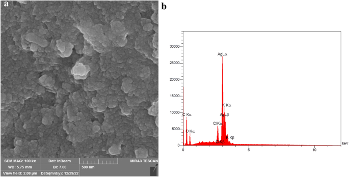 phd thesis on green synthesis of nanoparticles figure 4
