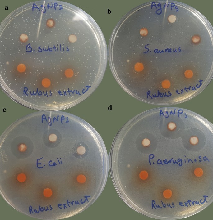 phd thesis on green synthesis of nanoparticles figure 9