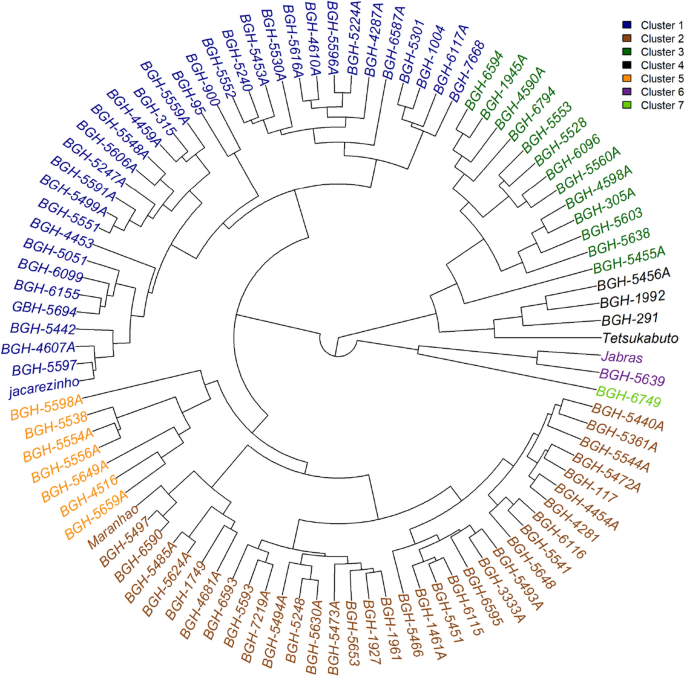 artificial-neural-networks-optimize-the-establishment-of-a-brazilian-germplasm-core-collection-of-winter-squash-cucurbita-moschata-d-scientific-reports