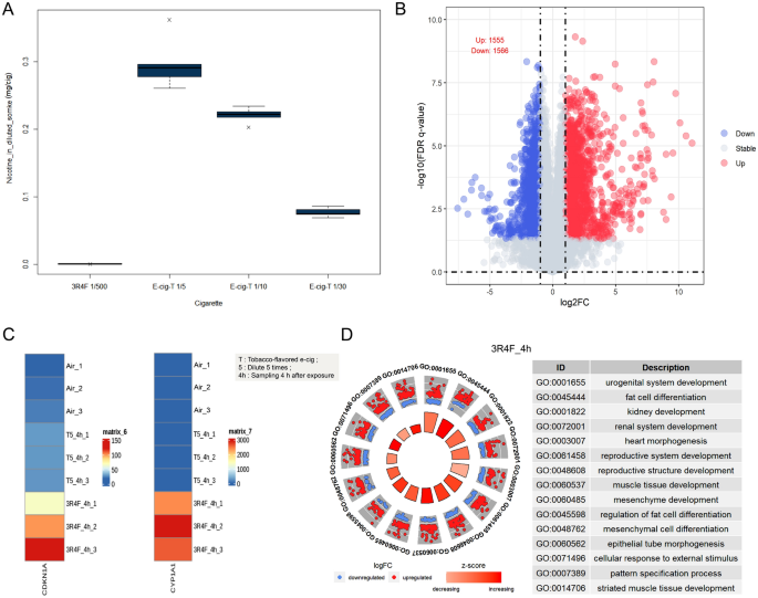 Multidimensional assessment of the biological effects of electronic  cigarettes on lung bronchial epithelial cells