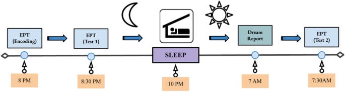 夢を見ることは記憶の定着と感情調節の改善につながる(Dreaming is linked to improved memory consolidation and emotion regulation)