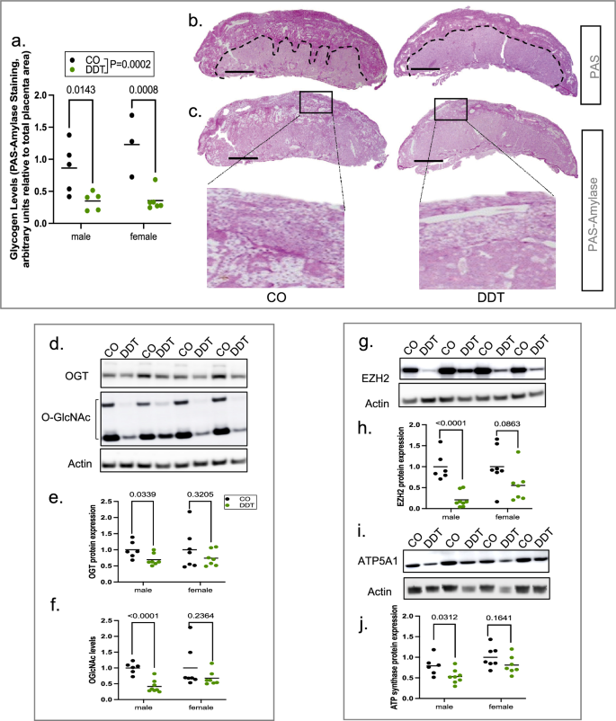 presentation on fetal growth restriction figure 3