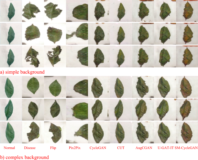 crop image in powerpoint presentation figure 12