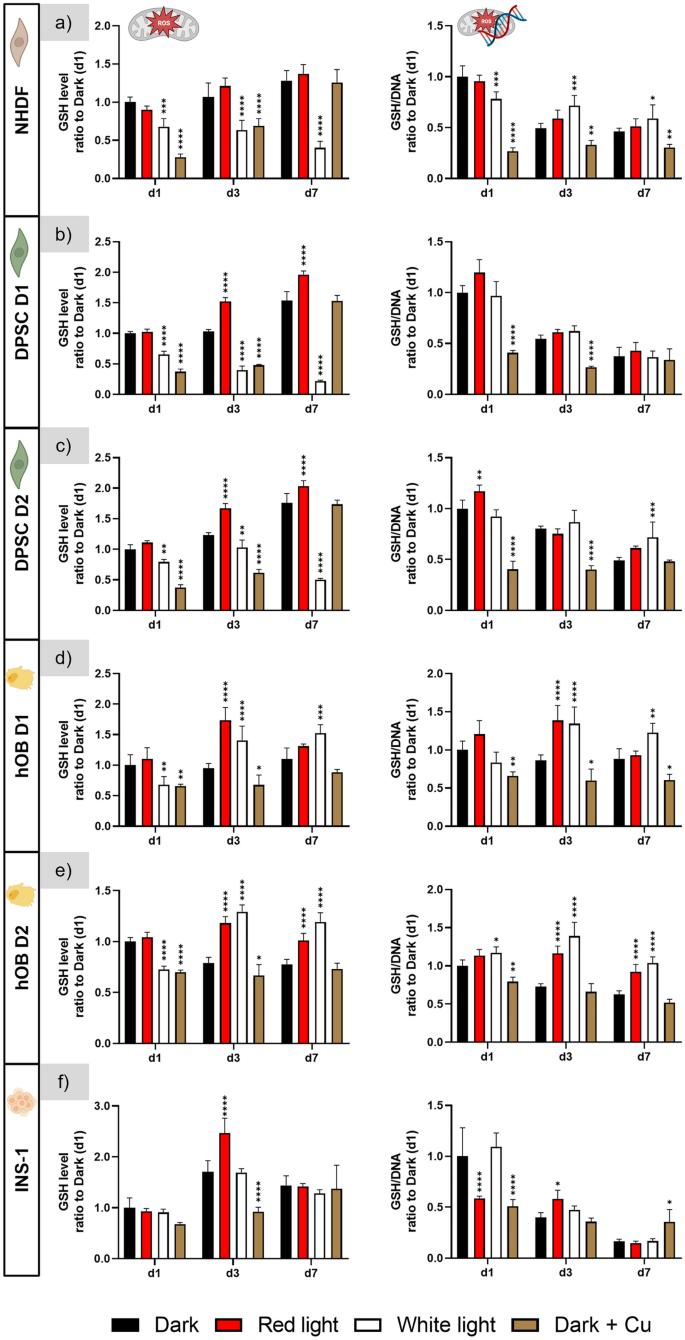 The effect of continuous long-term illumination with visible light in  different spectral ranges on mammalian cells