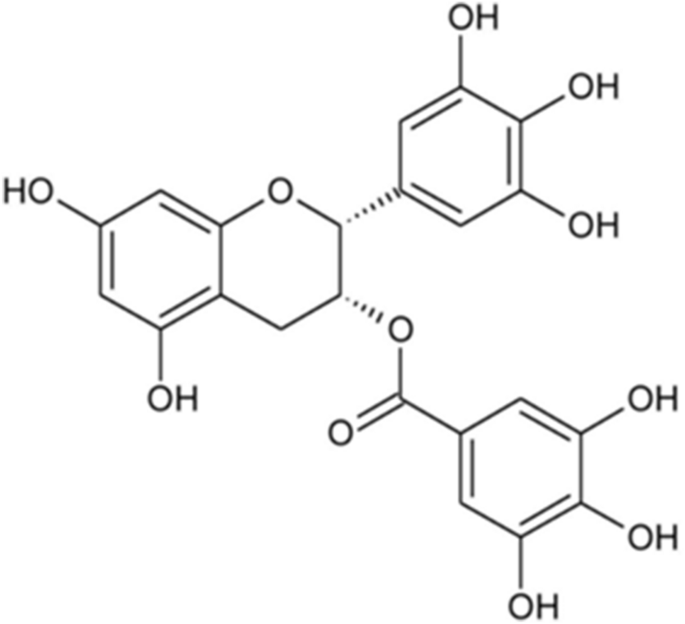 expression of catalase and glutathione peroxidase in renal insufficiency Expression of catalase and glutathione peroxidase in renal insufficiency