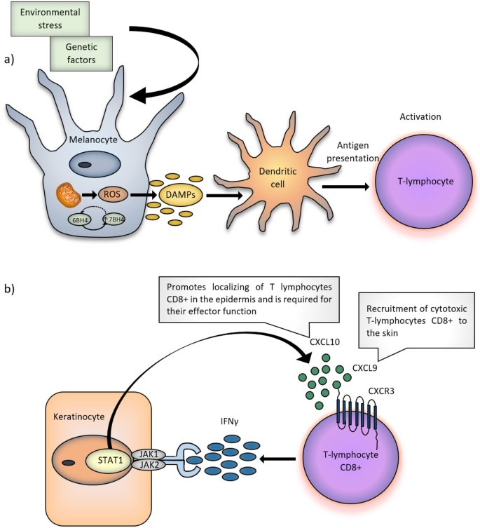 case study randomised control trial figure 1