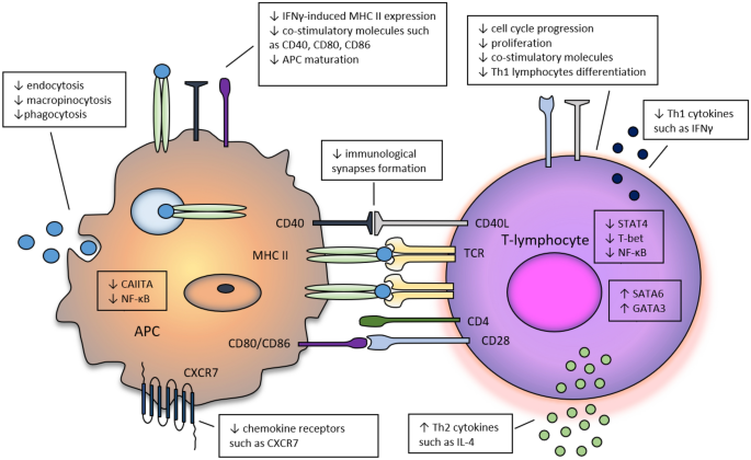 case study randomised control trial figure 2