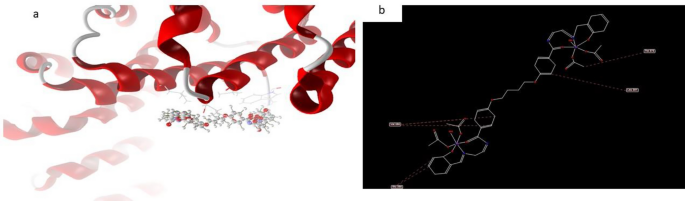 figure 20