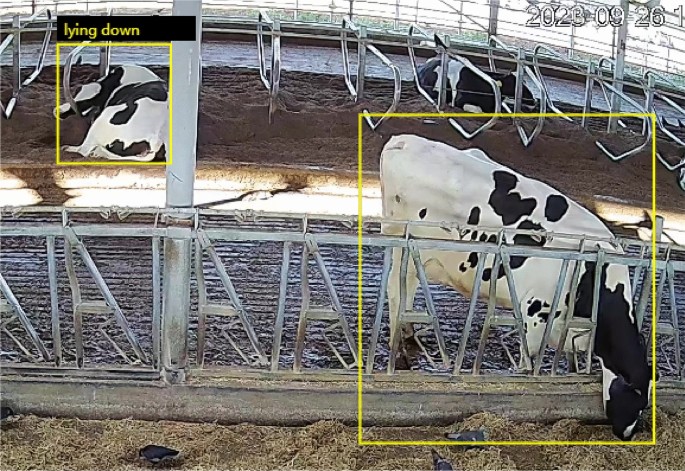 research paper video processing figure 10