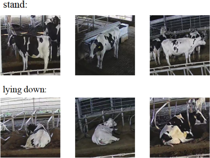 research paper video processing figure 3