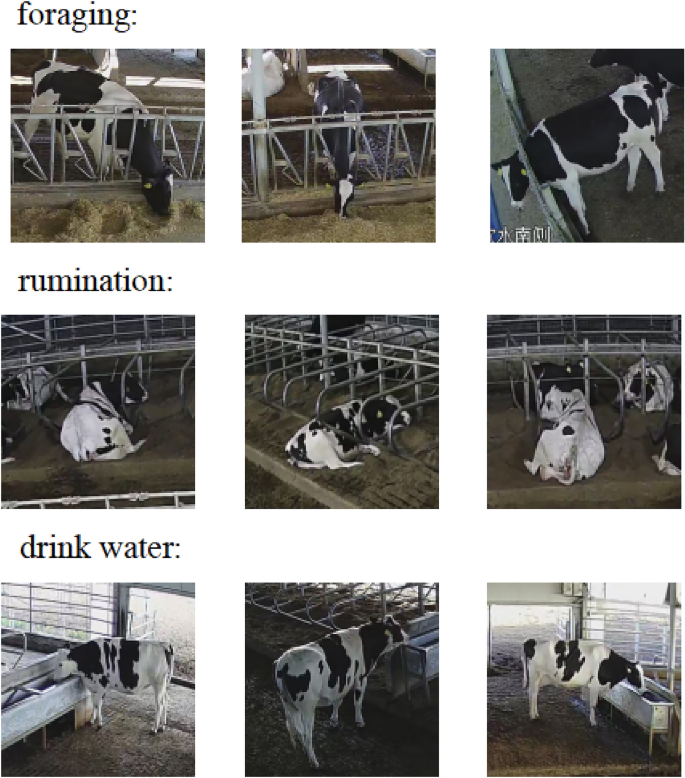 research paper video processing figure 4