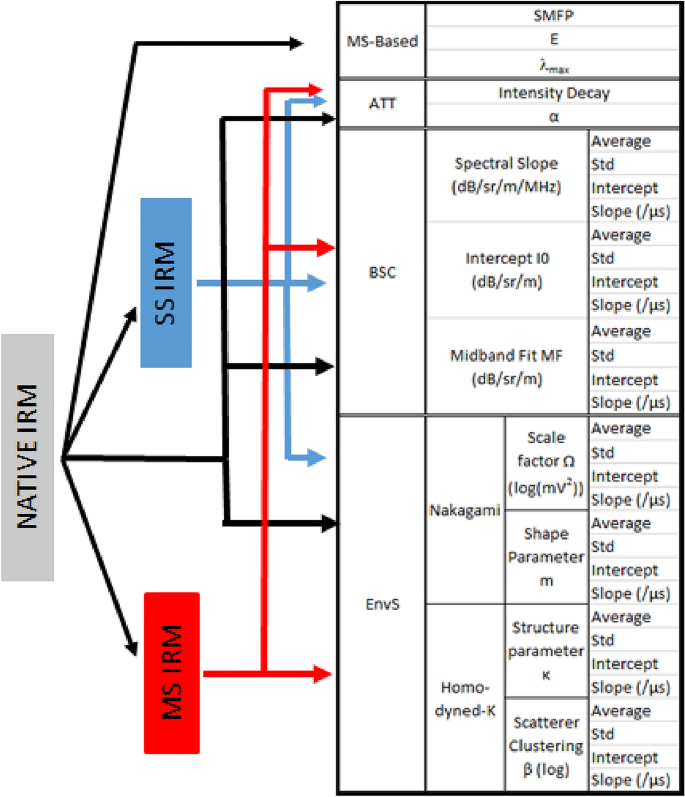 定量的超音波パラメータが肺疾患診断の新たなツールとなる(Quantitative Ultrasound Parameters Offer New Tool for Diagnosing Lung Disease)
