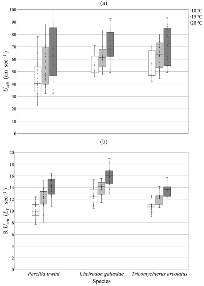 Critical swimming speed at different temperatures for small-bodied 