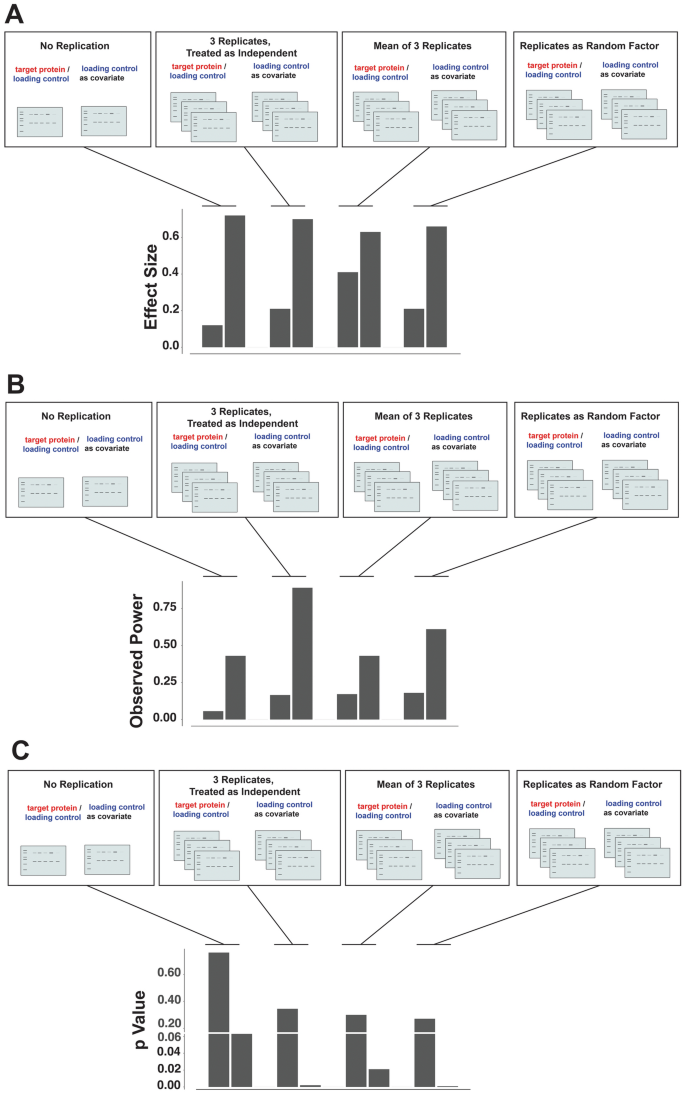 the scientific method example experiments figure 4