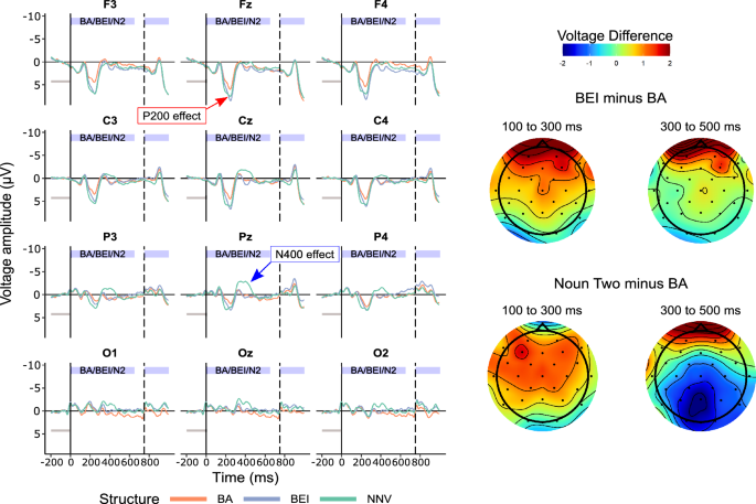 order processing assignment figure 2