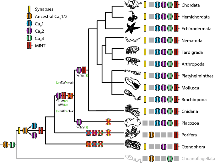 figure 11