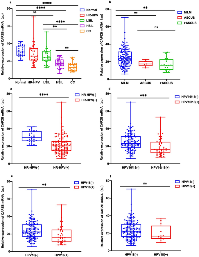 CAPZB mRNA is a novel biomarker for cervical high-grade squamous ...