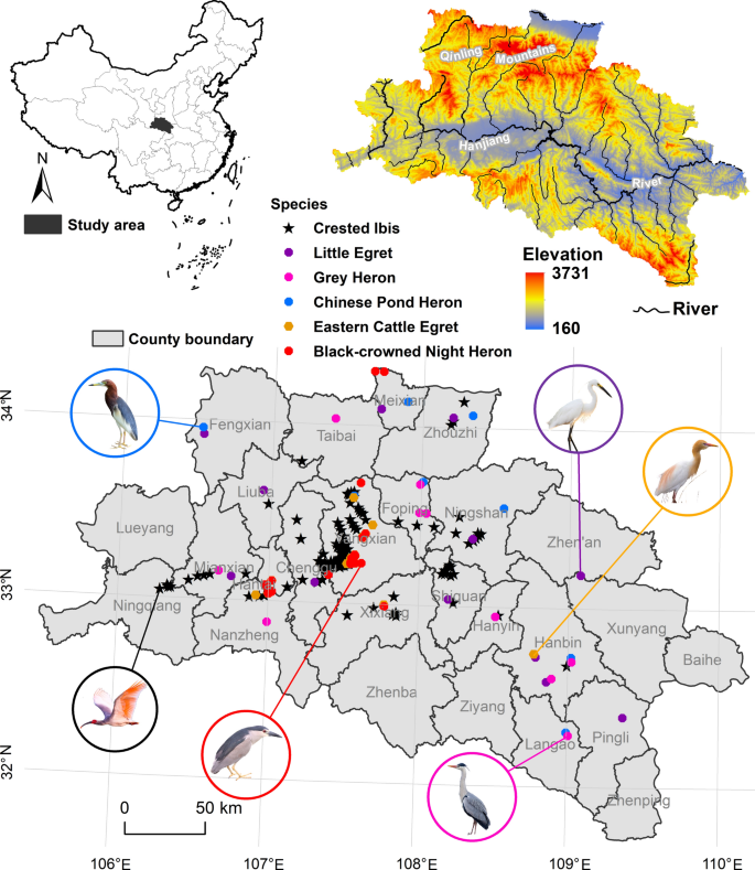 Climate and land use/land cover changes increasing habitat overlap 