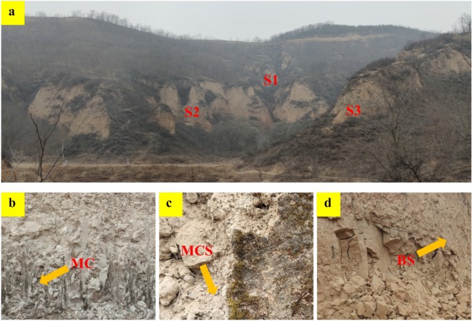 Biocrust Layer Effects of mixed biocrusts on soil nutrients and bacterial community ...