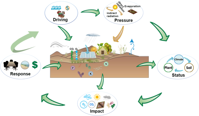 Assessment of the ecological and environmental effects of large 