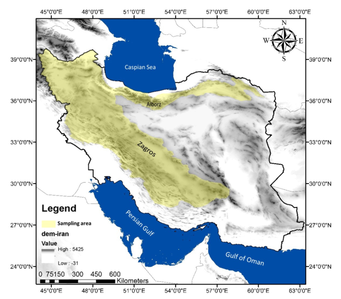 Nutritional position of managed honey bees during pollination of native