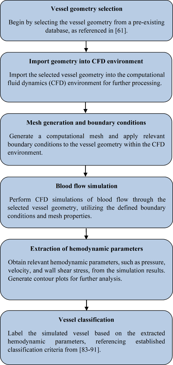 Predicting coronary artery occlusion risk from noninvasive images 