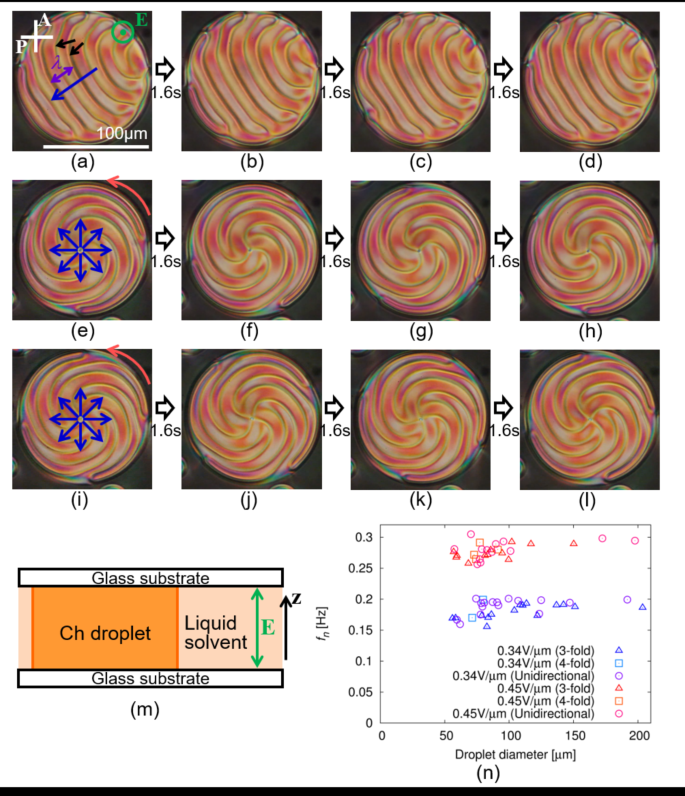 Propagation of periodic director and flow patterns in a 