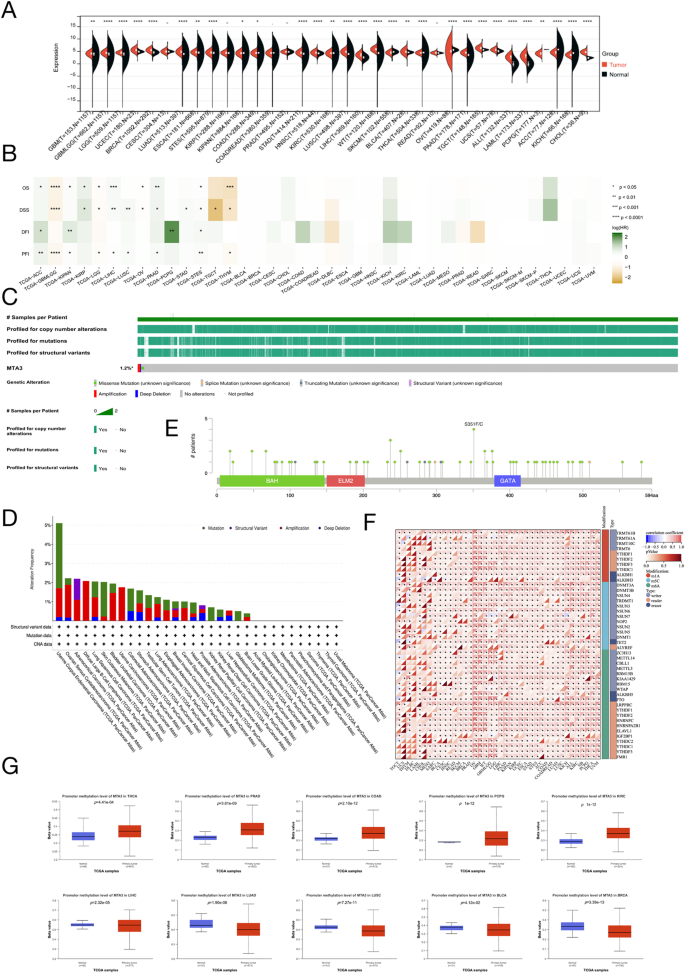 Discovery of Jaspamycin from marine-derived natural product based 