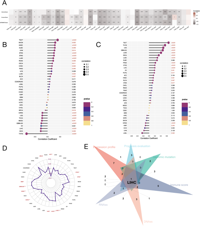 Discovery of Jaspamycin from marine-derived natural product based 