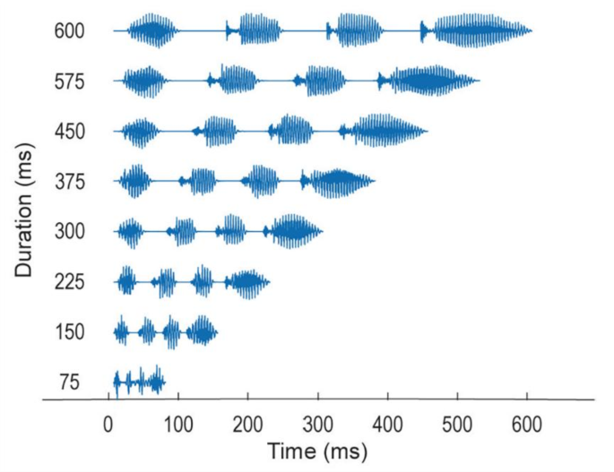 Segmentation window of speech information processing in the human