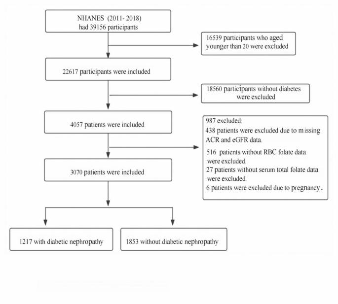 literature review on diabetic nephropathy figure 1