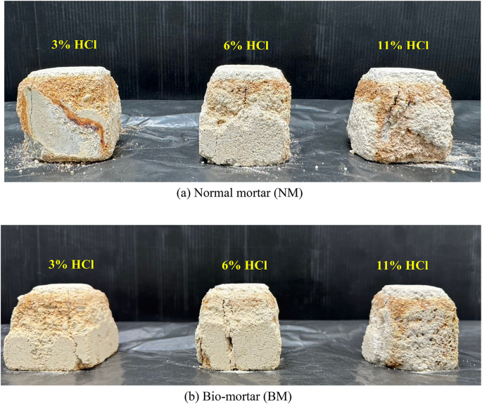 Evaluation of encapsulated Bacillus subtilis bio-mortars for use under  acidic conditions