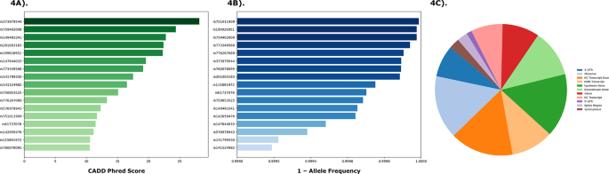 literature review using ai figure 4